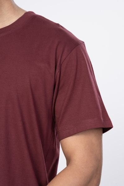 Shleviro Men's Polar Lab Maroon Solid Round Neck T-shirt